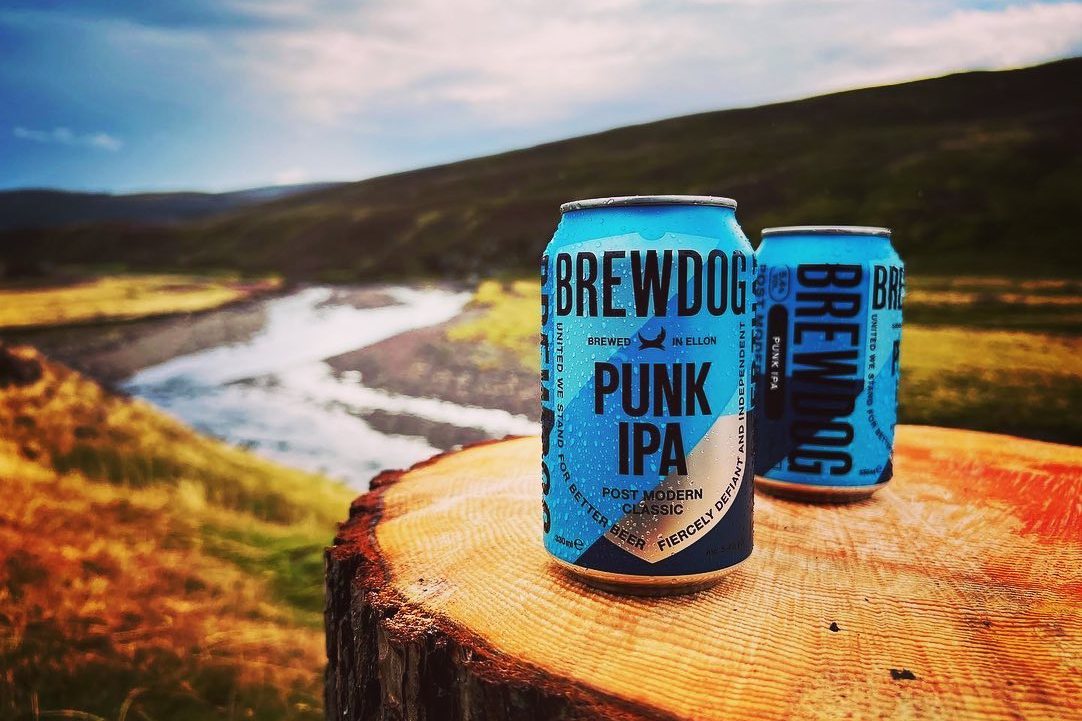 Two BrewDog Punk IPA cans on a tree stump overlooking a river.